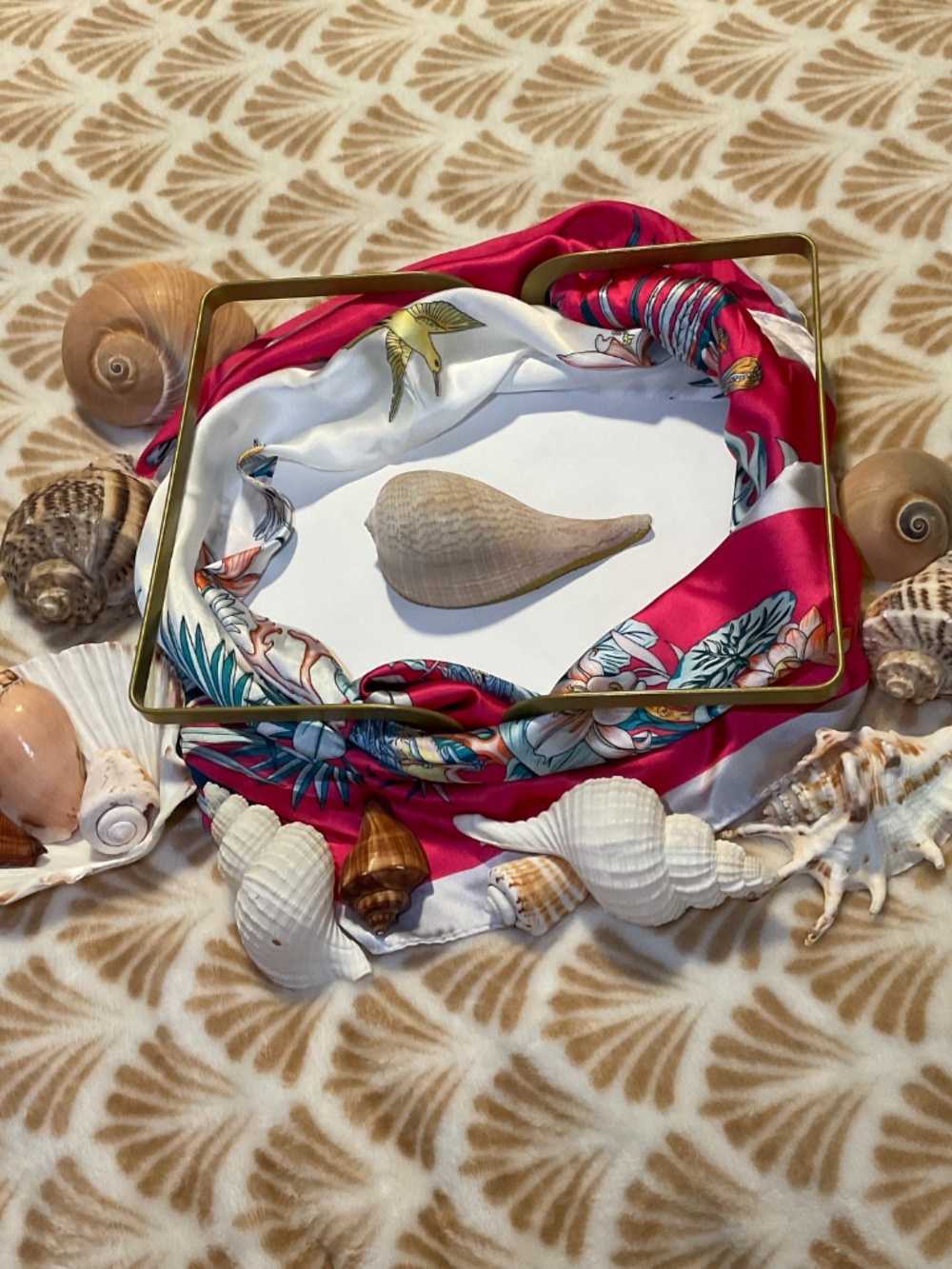 Paper Fig Sea Shell Trinket Dish - Picture 4 of 5